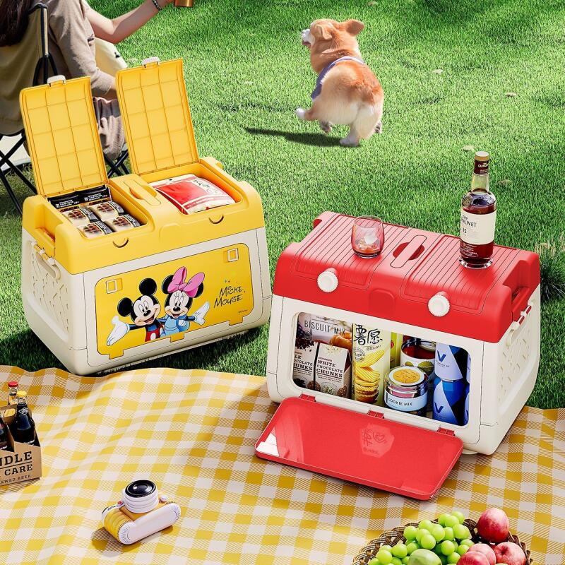 Disney Genuine Authorized Outd - Outdoor Camping Fire recension och pris